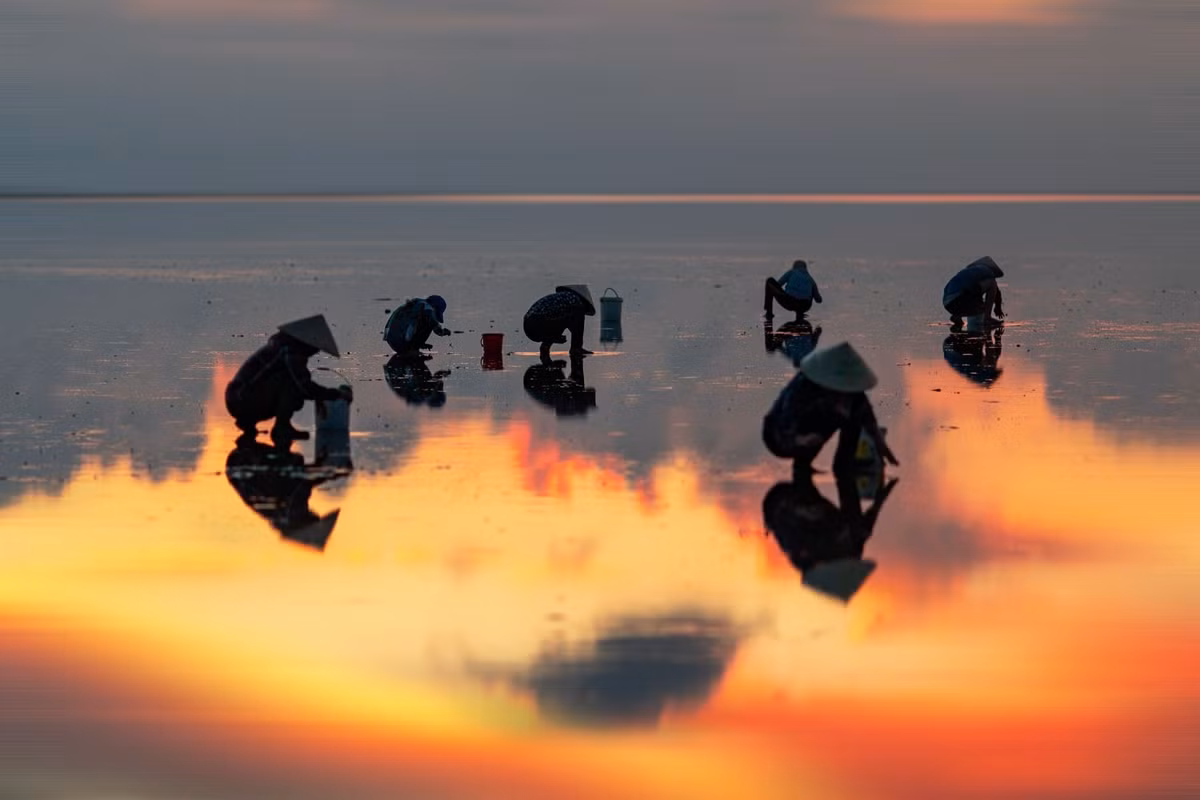 Vào bình minh mỗi sáng, ánh mặt trời rực rỡ trên không gian trải dài bát ngát, mênh mông sẽ càng làm những bức hình của bạn trở nên lung linh, huyền ảo hơn nữa.