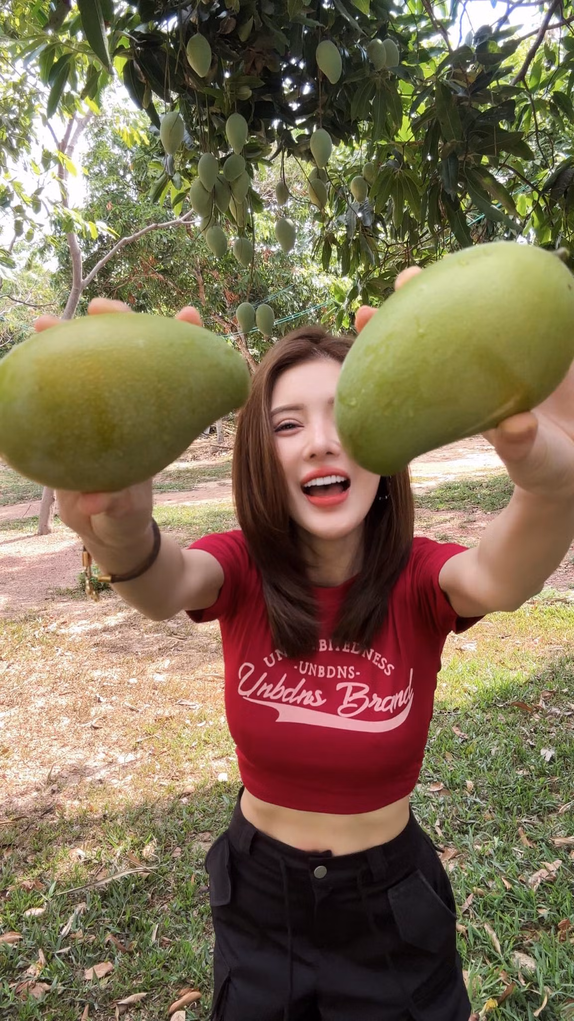 Bài đăng của cô nàng thu hút hàng nghìn lượt thích cùng bình luận trên trang cá nhân: " Xoài tặc này cưng quá, nhà mà có cây xoài là nguyện cho hái cả cây", "mê nhan sắc của bả quá, càng ngày càng xinh".