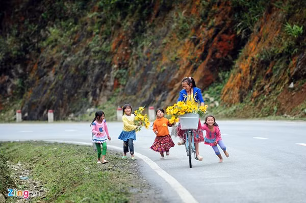 Hoa dã quỳ mang một vẻ đẹp hoang dại, màu vàng rực rỡ nổi bật giữa bầu trời Tây Bắc khiến khung cảnh hơi đây thêm phần sống động.