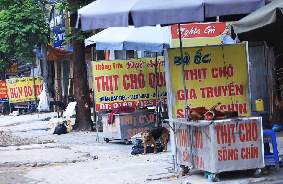 Chu tich Ha Noi keu goi khong an thit cho phong Covid-19, dan mang noi gi?