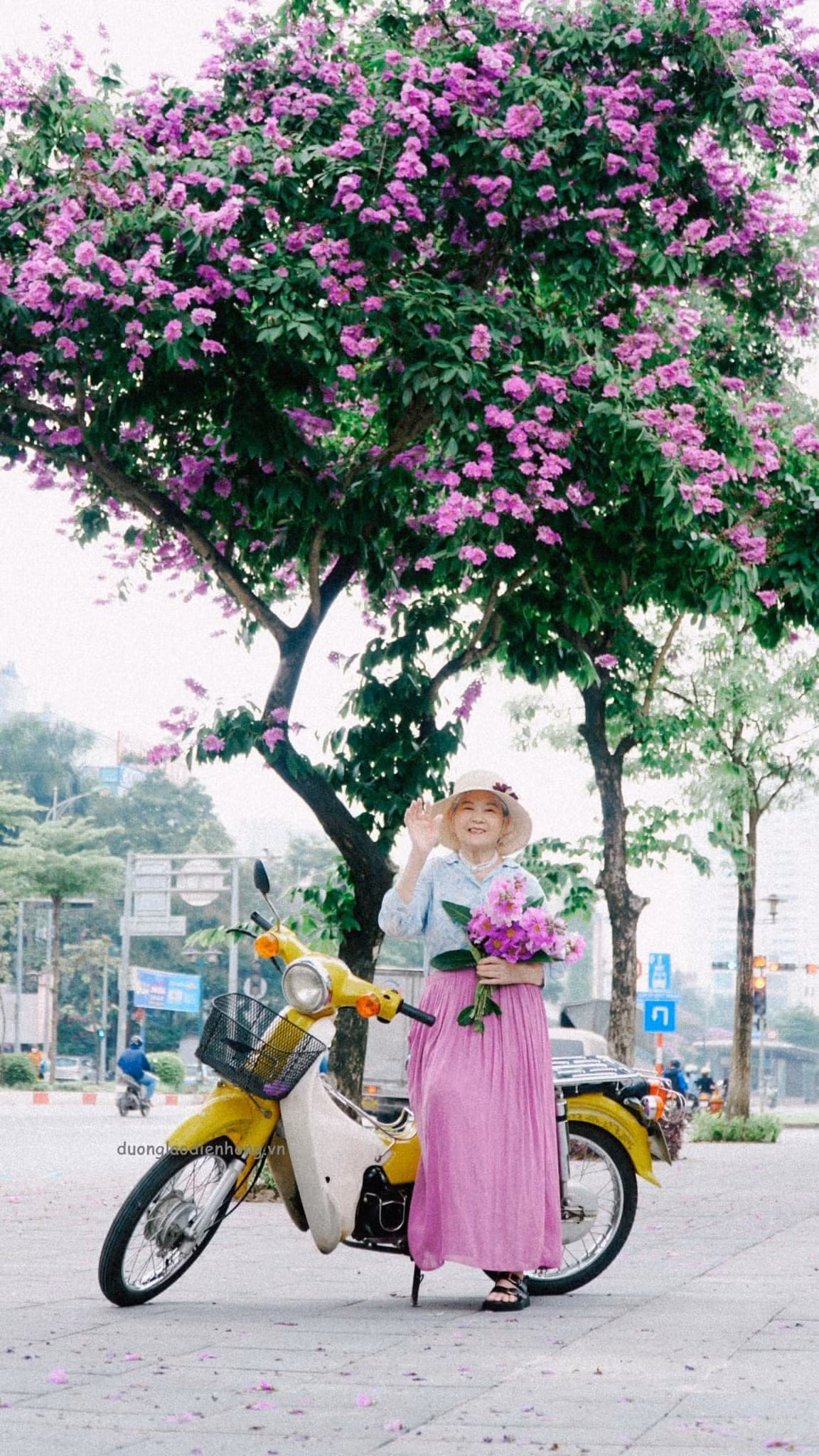 Vào mỗi dịp hè, bằng lăng thường nở rộ khiến nhiều người xao xuyến, thế nhưng thời gian bung nở của loài hoa cánh mỏng này cũng chỉ kéo dài khoảng độ 1 tháng, vì vậy nhiều người đã tranh thủ đi làm ít tấm ảnh sống ảo. Năm nay đặc biệt hơn khi bằng lăng "được mùa", nở khắp đường lớn ngõ nhỏ ở Hà Nội, tạo nên 1 trào lưu chụp ảnh cùng bằng lăng.