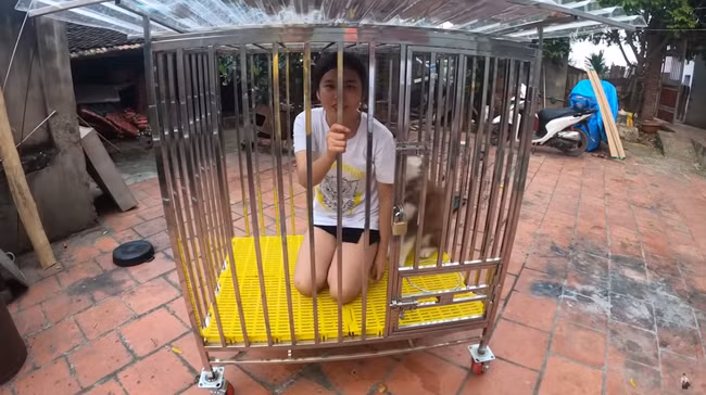 Ngay lập tức, clip của Hưng Vlog đã trở thành đề tài bàn tán trên MXH. Không ít người cho rằng hành động của hai anh em là phản cảm: "Biết là diễn nhưng em gái là em gái, chẳng ai nhốt chung với chó bao giờ", "Đùa thế này hơi quá đáng rồi đấy" - Dân mạng bình luận.