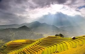 Những thửa ruộng bậc thang của xứ Mù rộng mênh mông, vàng ươm trong mùa lúa chín, khiến ai cũng ao ước một lần được tận mắt ngắm nhìn.