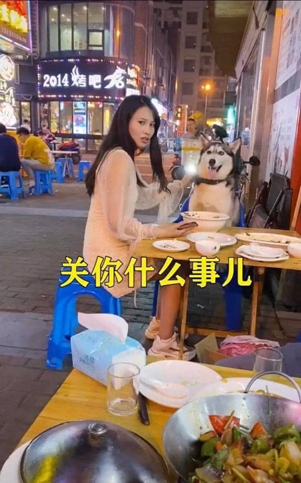 Chuyện là chú chó Husky được chủ dẫn đi ăn hàng, nhưng đến nơi thì "đại boss" nghịch ngợm không chịu ngồi im, đòi lê la sang tận bàn bên có một cô gái trẻ. Chủ nó đã cảnh báo cô gái nên cẩn thận khéo gặp nguy hiểm nhưng cô phớt lờ bằng vẻ mặt nhăn nhó.