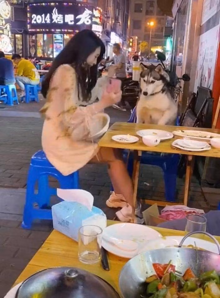 Giá như cô gái chịu nghe lời ngừoi chủ thì có lẽ sẽ không phải gánh chịu hậu quả dở khóc dở cười như vậy.