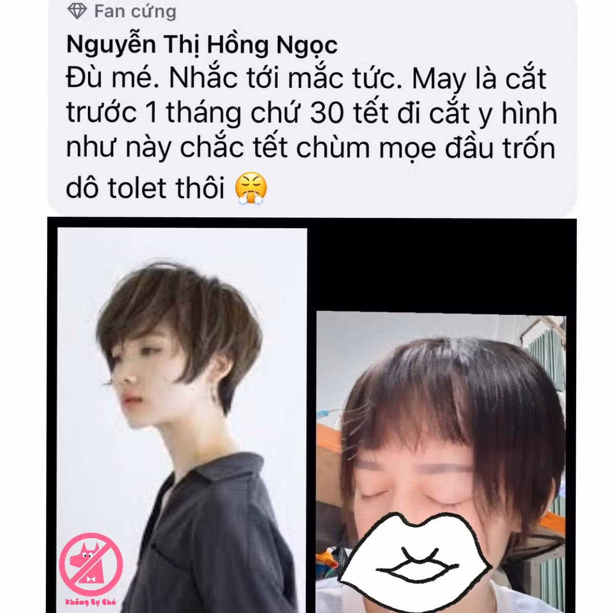 Thấy hình tóc đẹp trên mạng lung linh, cô gái hí hửng mang hình ra tiệm yêu cầu cắt y ảnh và nhận cái kết khiến ai nhìn cũng vừa thương vừa buồn cười. May mắn làm sao do bản tính lo xa, cô nàng cắt trước tận 1 tháng để tóc có thể mọc lại chứ cận Tết mới đi làm mái tóc này thì chắc năm mới chùm chăn đi ngủ mất.