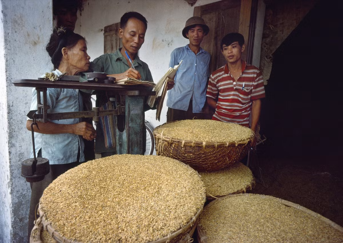 Đây là cách mà ông bà ta ngày xưa đóng thuế...