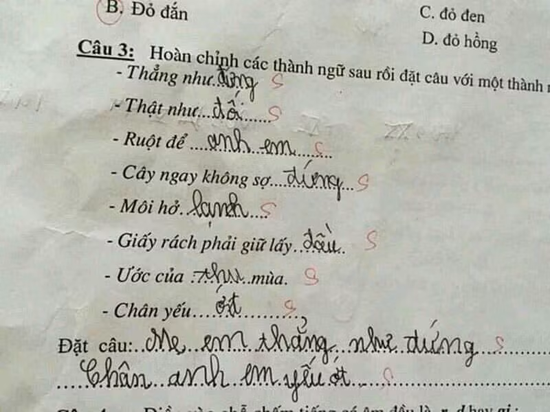 Những ví dụ đặt câu thành ngữ "Chân anh em yếu ớt", "Mẹ em thẳng như đứng" chắc hẳn cũng đã khiến các cô giáo "đứng hình".