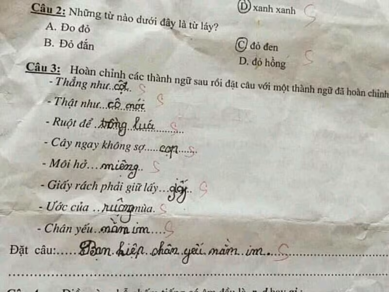 Hoc sinh tieu hoc tu che thanh ngu, co giao 