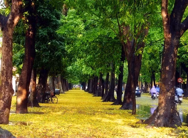  Dịp 8/3 năm nay, bạn cũng có thể dắt tay nàng dạo trên phố Phan Đình Phùng và dựng sẵn kịch bản lãng mạn như phim Hàn là món quà khiến nàng cảm động.
