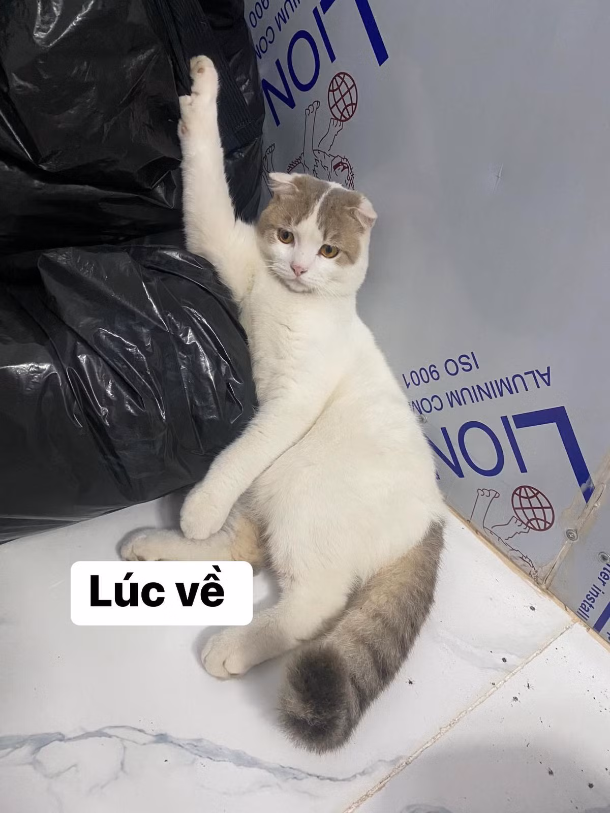 Và đây là khi đi bụi về, đúng là giảm cân không cần tập luyện.