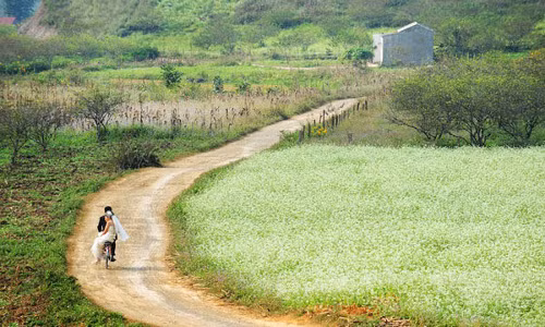 9 con duong hoa dep nhát Viẹt Nam, say long gioi tre-Hinh-6