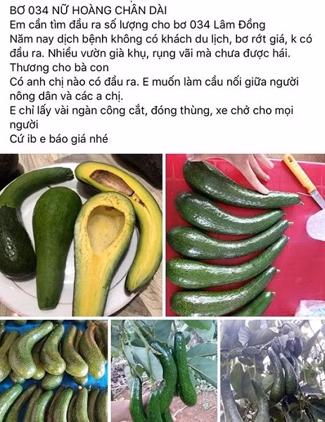 Bo sap “nu hoang chan dai” rot gia, thuong lai om vuon “ngam trai dang”-Hinh-3