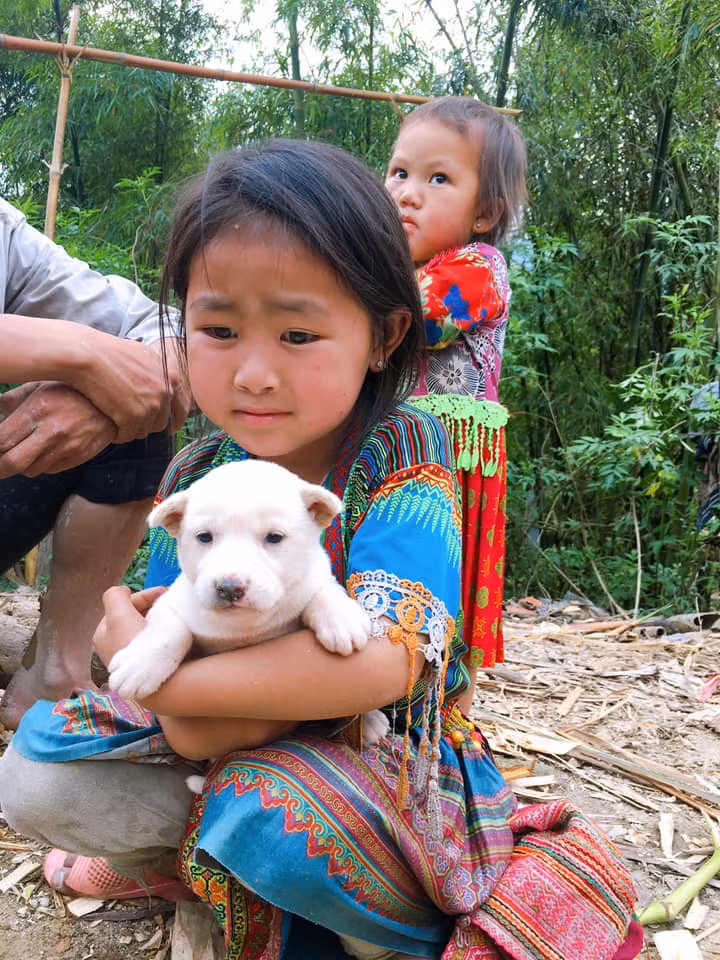 Theo anh Lý Ngọc, người trực tiếp chia sẻ câu chuyện trên trang cá nhân cho biết gia đình có chú chó con muốn bán lấy tiền để chống COVID-19 nhưng bé gái vùng cao cứ ôm chặt chú chó nhỏ và nói: "Chú đừng bắt con chó này của cháu, cháu không cho đâu".