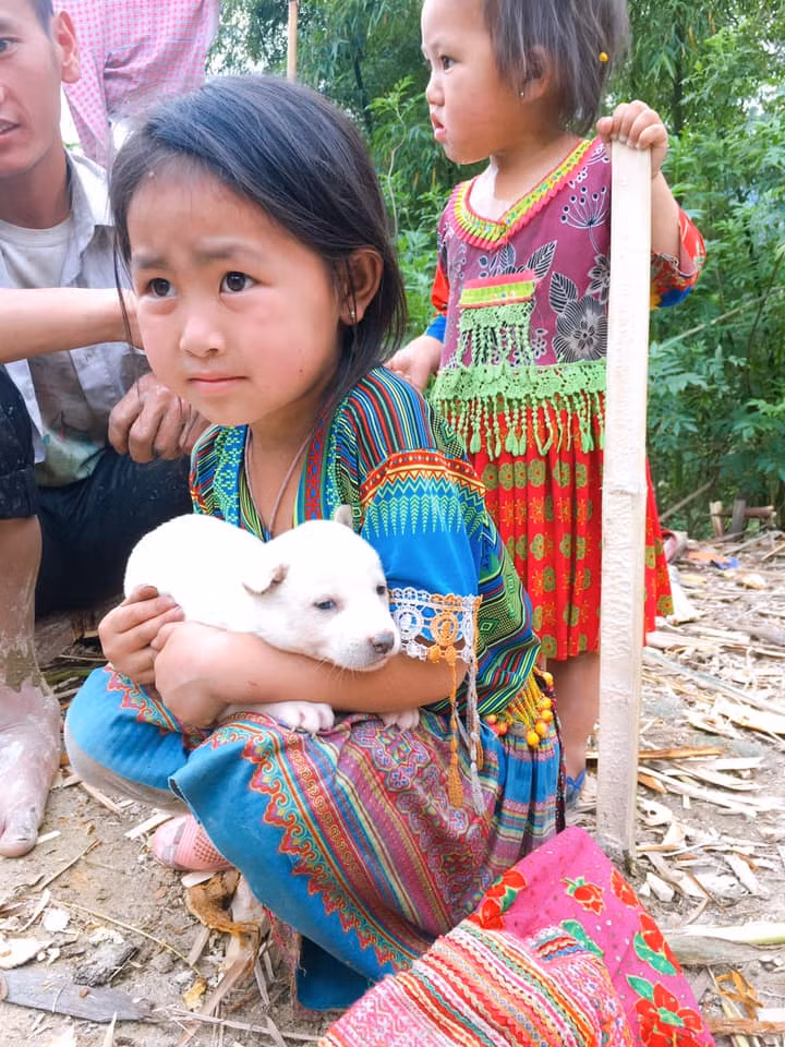 Bên cạnh đó, ngoại hình đáng yêu của cô bé vùng cao Hà Giang cũng được khen ngợi hết lời, dự đoán lớn lên cỏ ngoài cổng ngõ không mọc nổi vì trai trong bản xếp hàng dài.