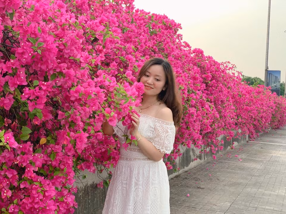 Tất nhiên, bên ngoài, màu hoa giấy không được đậm và đẹp như trên hình nên phải cần những "bàn tay" chỉnh ảnh khéo léo một chút, đảm bảo sẽ ưng ý, không mất sức đi rõ xa để chụp hình mà thành quả không ra đâu vào đâu.