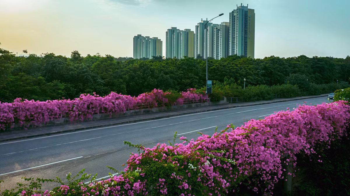 Mới đây, một địa điểm chụp ảnh "sống ảo" mới toanh tại Hà Nội được dân mạng tìm ra và chia sẻ nhau. Đó là cầu Bắc Hưng Hải, nằm bên góc một góc khu đô thị sinh thái Ecopark.