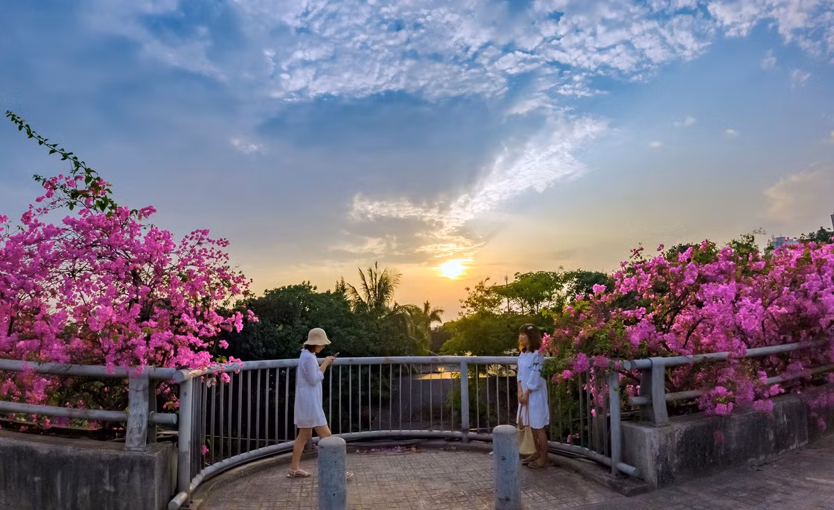 Màu tím hiện còn đang là màu cực hot năm nay nên càng không thể bỏ lỡ cầu Bắc Hưng Hải nếu muốn sở hữu những tấm ảnh cực tình.