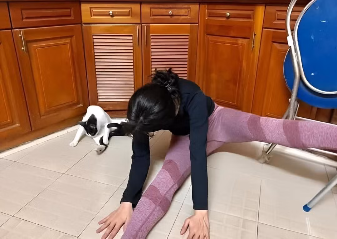 Điều đặc biệt, chú mèo có vẻ rất đam mê với bộ môn yoga này, bắt chước theo những động tác của cô gái không sai biệt chút nào.