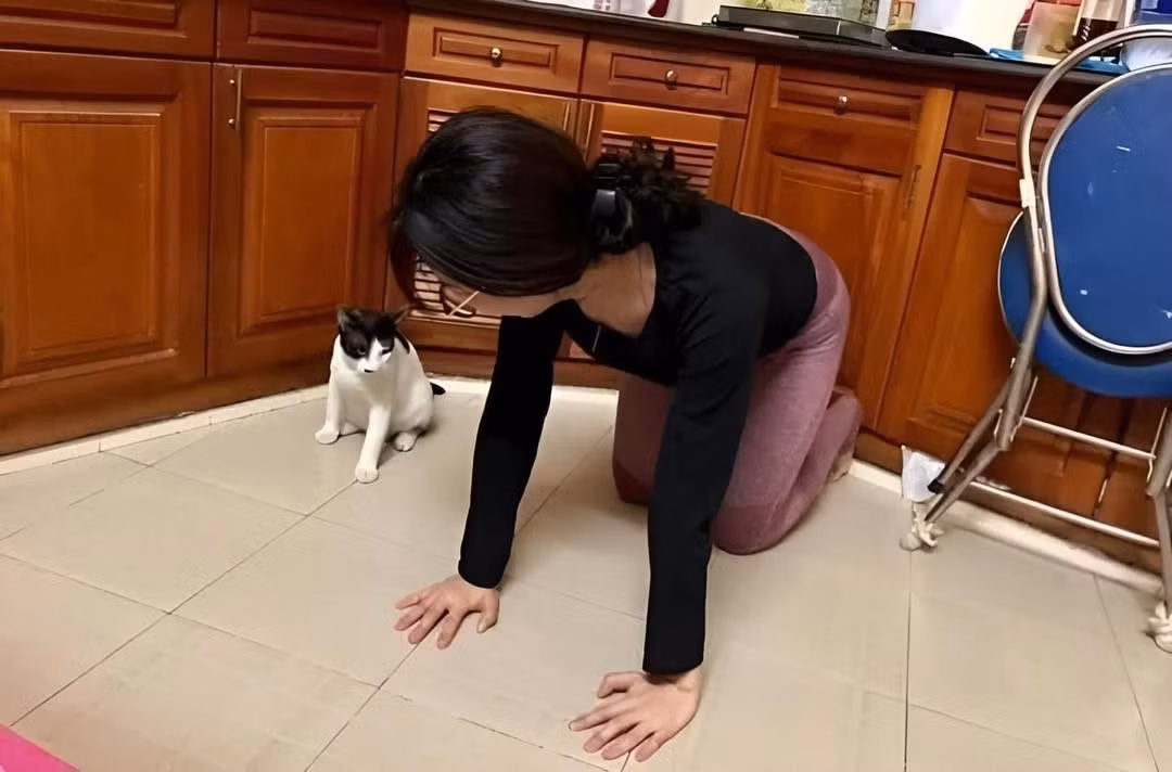 Loạt ảnh được một cô gái đăng tải lên hội nhóm yêu động vật thu hút hàng chục nghìn lượt tương tác khiến nhiều người vô cùng thích thú.