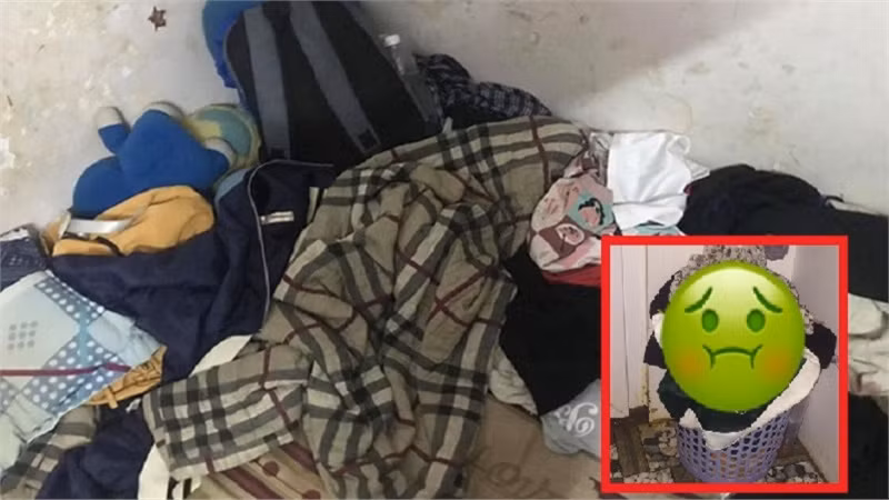 Ngoài ra, cô bạn cùng phòng này còn vô duyên, vô ý thức. Thường xuyên nói chuyện điện thoại đến nửa đêm, hay chửi tục. Thậm chí, khi lên tiếng nhắc nhở thì cô gái này thường xuyên bị bạn cùng phòng của mình chửi.