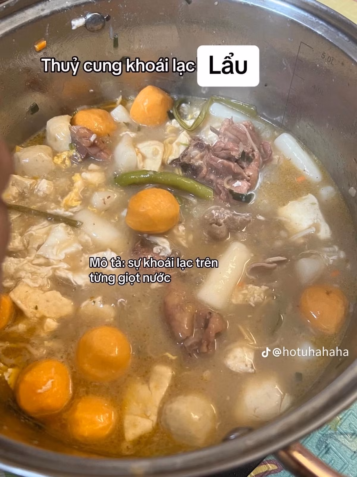 Thủy cung khoái lạc: lẩu.