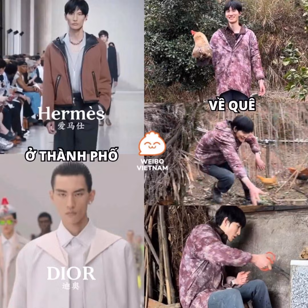Ở thành phố thì trình diễn thời trang cho các nhãn hàng xa xỉ, về quê cũng phải bắt gà và vặt lông gà như 1 người nông dân thôi.