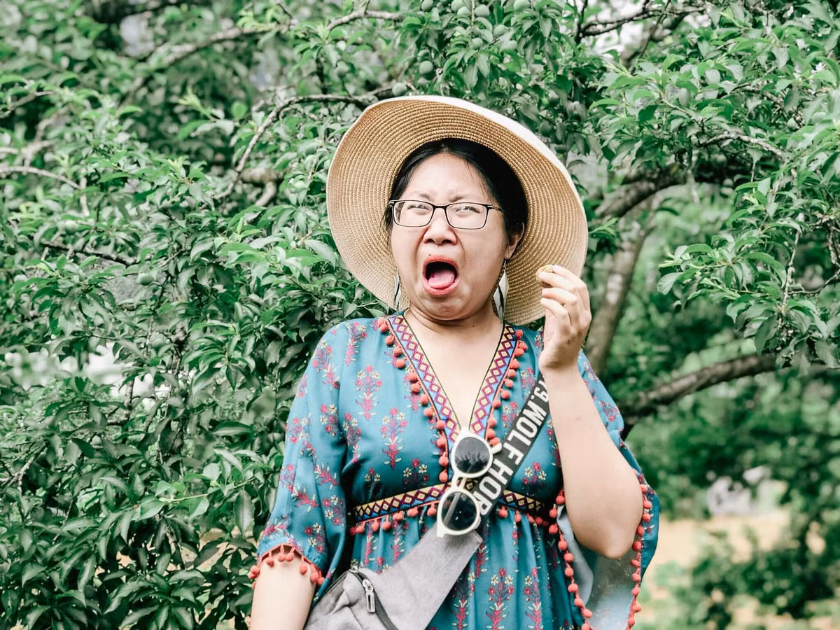 Từ đó, một loạt hình ảnh về việc trải nghiệm mận đầu mùa đã ra đời.
