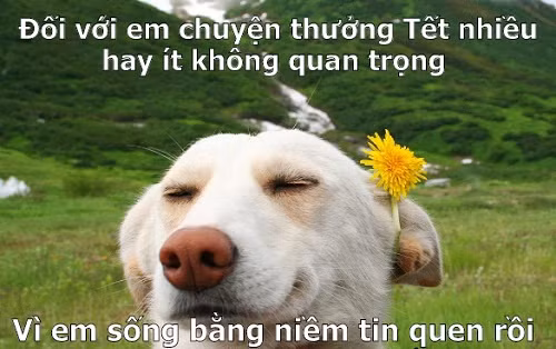 Khi bạn hy vọng quá nhiều nhưng sếp, công ty luôn khiến bạn thất vọng thì dần dần bạn cũng sẽ chẳng còn ngóng trông gì vào khoản tiền thưởng tết cuối năm nữa. Sống rực rỡ như một đoá hoa nhưng trong lòng héo rũ chính là chẳng dám mong ước đến thưởng tết.