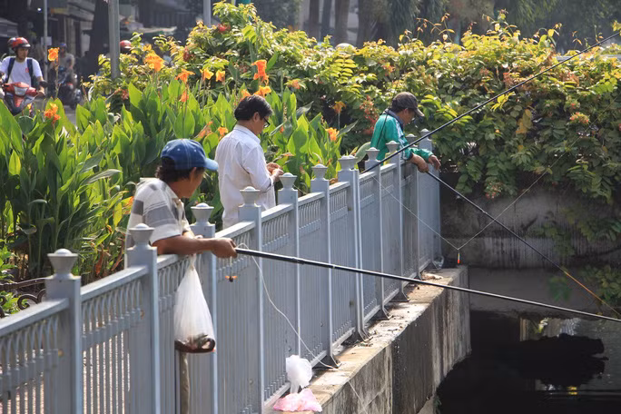 Thế nhưng đoạn kênh trên người dân thả cá thì ngay đoạn kênh dưới lại có một nhóm người đứng thảnh thơi câu luôn cá khiến ai nhìn cũng phải bất lực. Không chỉ có thế, nhiều người còn trơ trẽn mang vợt xuống sông để bắt cá ngay khi vừa được thả xuống nước.