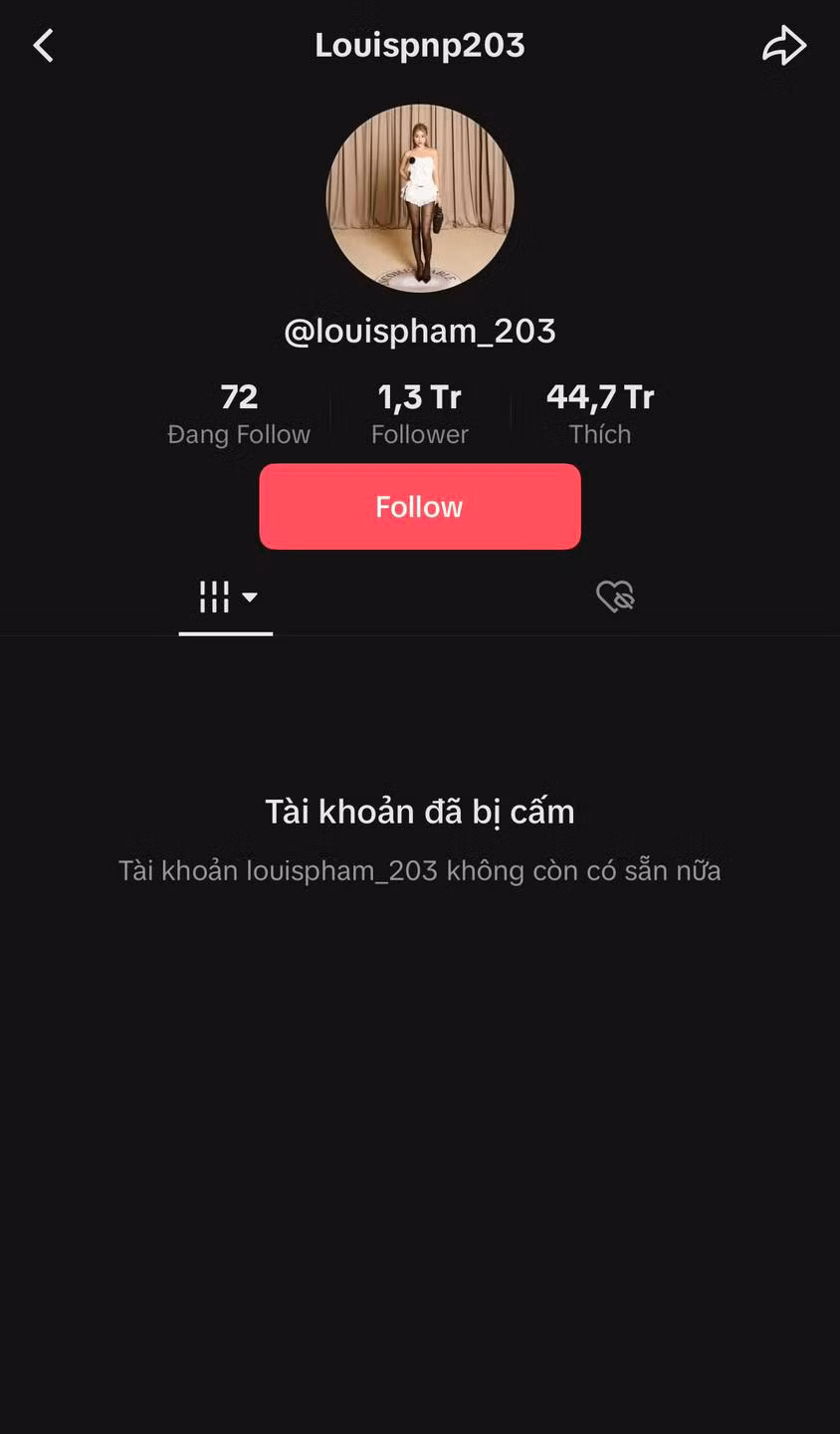 Mới đây, tài khoản Tiktok của Louis Phạm với 1,3 triệu người theo dõi và hơn 44,7 triệu lượt thích đã chính thức bị cấm. Toàn bộ nội dung trên trang đã bị ẩn hoàn toàn. Được biết, đây là kênh Tiktok có số lượng theo dõi lớn nhất của Louis Phạm, ngoài ra vẫn còn 2 kênh mang tên cô nàng với hơn 100.000 người theo dõi mỗi kênh.
