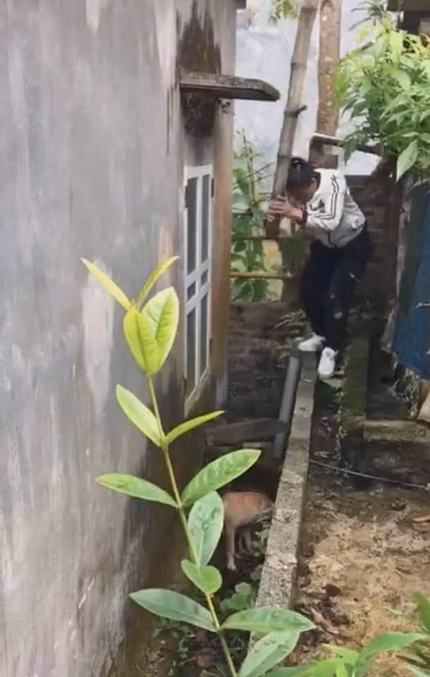 Phan no clip thanh nien di au quay ra don dap chet chu cho-Hinh-3