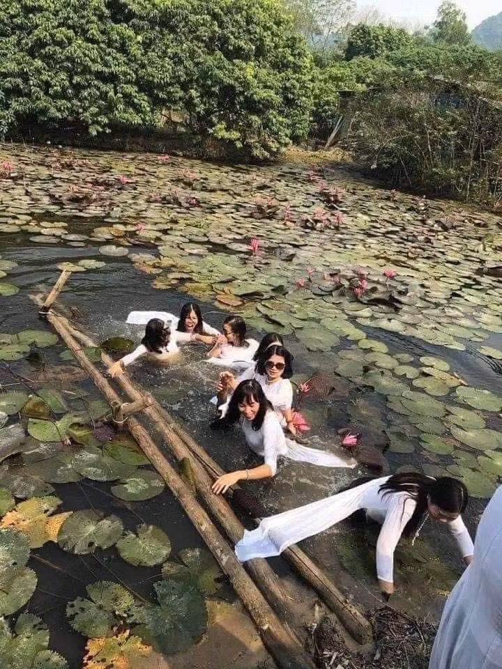 Và kết quả...