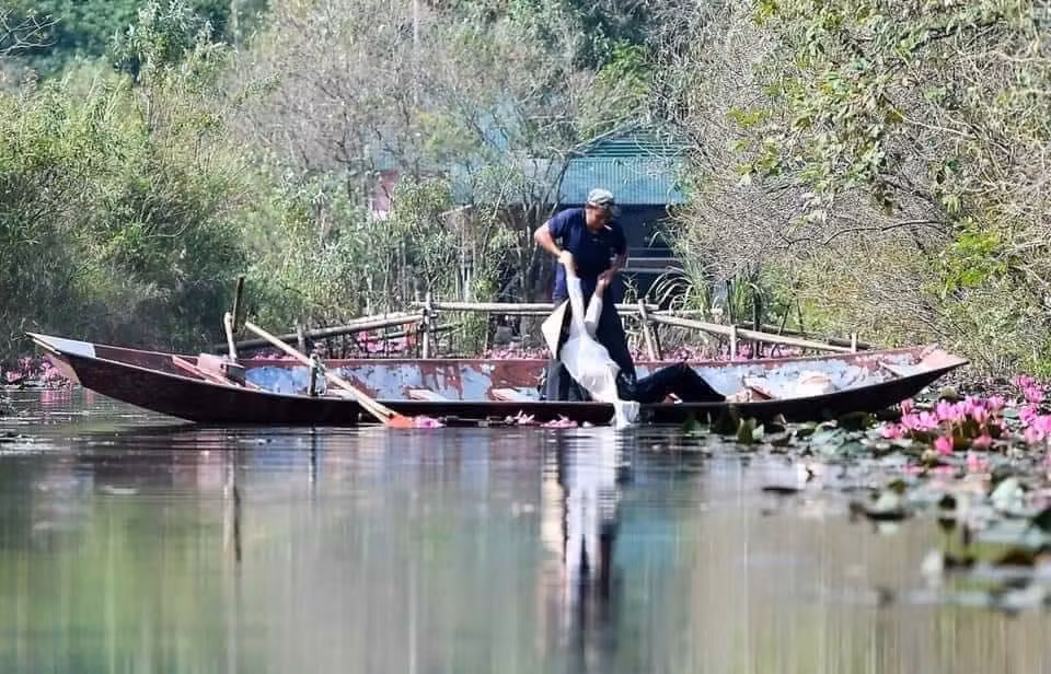 Địa điểm để chụp sen rất đặc thù, muốn có một tấm hình xuất sắc thì cần ngồi thuyền ra giữa hồ, thế nhưng có những chị em tuy sợ nước, không biết bơi nhưng vẫn cố chấp thì hậu quả là đây.