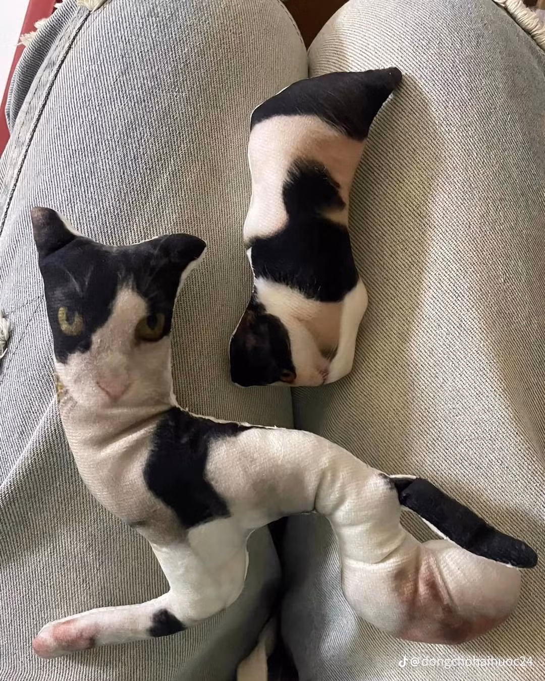 Và sản phẩm nhận về...