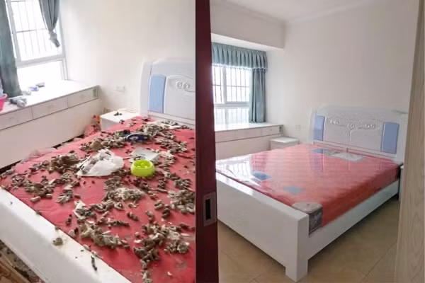 Quá sợ hãi, cô gái 9X trốn trong nhà vệ sinh không chịu ra ngoài, phải đến khi cảnh sát nhờ đến sự giúp đỡ của người thân, bạn bè thuyết phục, Wang mới chịu bước ra sau 2 tiếng đồng hồ cố thủ. Sau khi ra ngoài, cô gái này cũng không chịu mở miệng giải thích hay xin lỗi chủ nhà một lời nào.