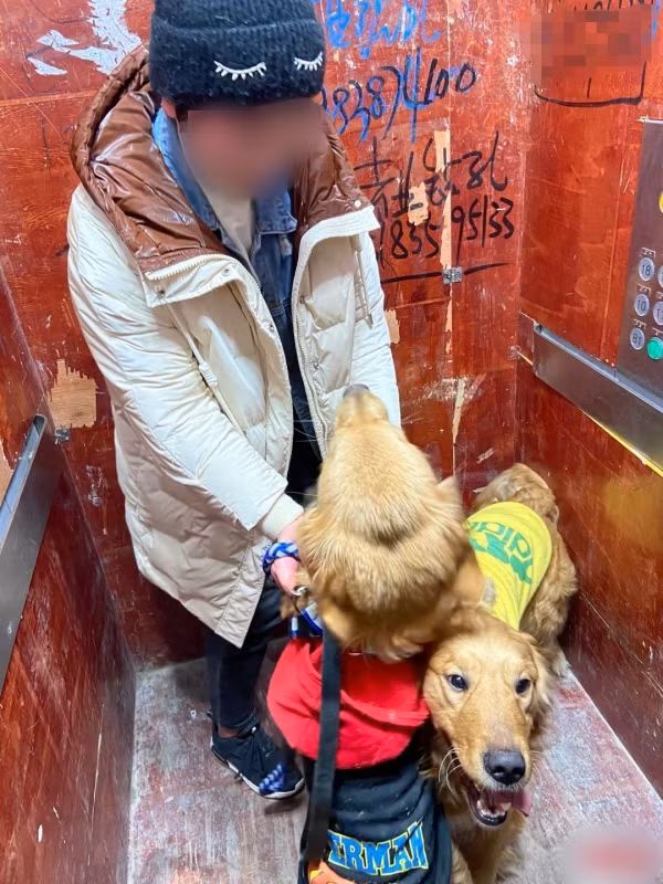 Chứng kiến phòng trọ bẩn như bãi rác, chủ nhà làm điều khiến khách "xanh mặt" Chung kien phong tro ban nhu bai rac, chu nha lam dieu khien khach