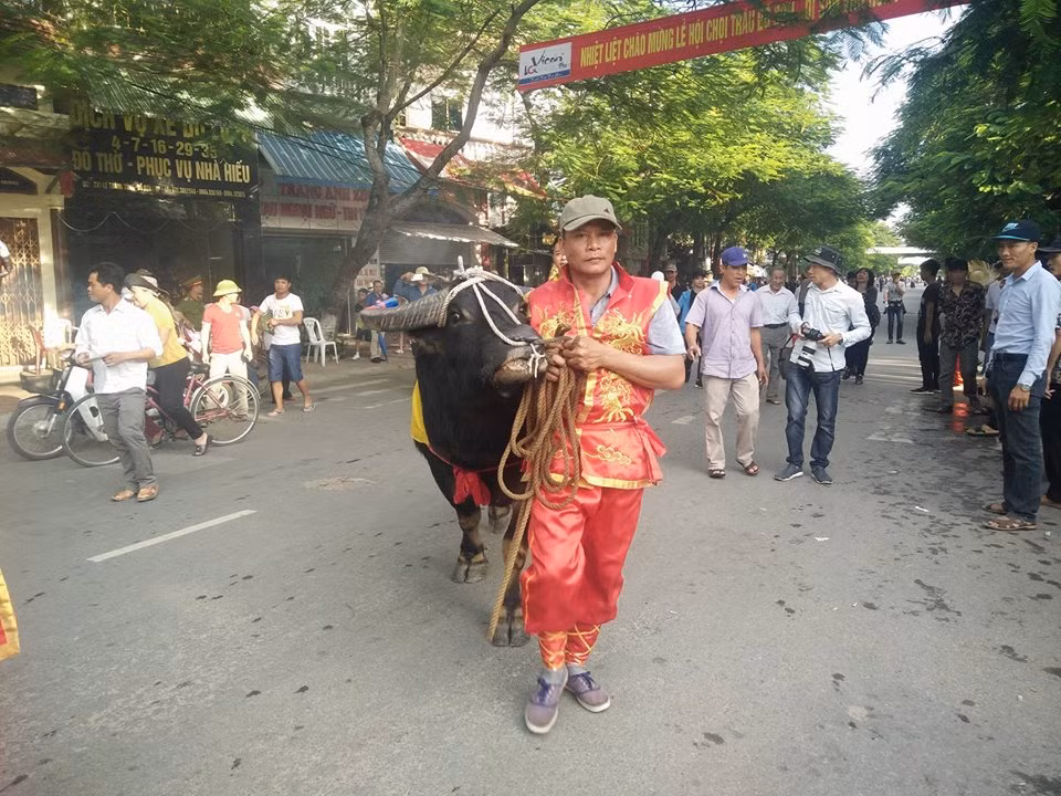 Co gi moi trong Le hoi choi trau Do Son sau su co chet nguoi?-Hinh-3