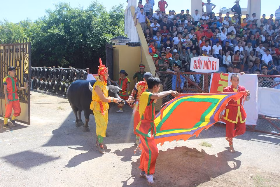 Thot tim nhung khap dau nay lua Le hoi choi Trau Do Son 2017
