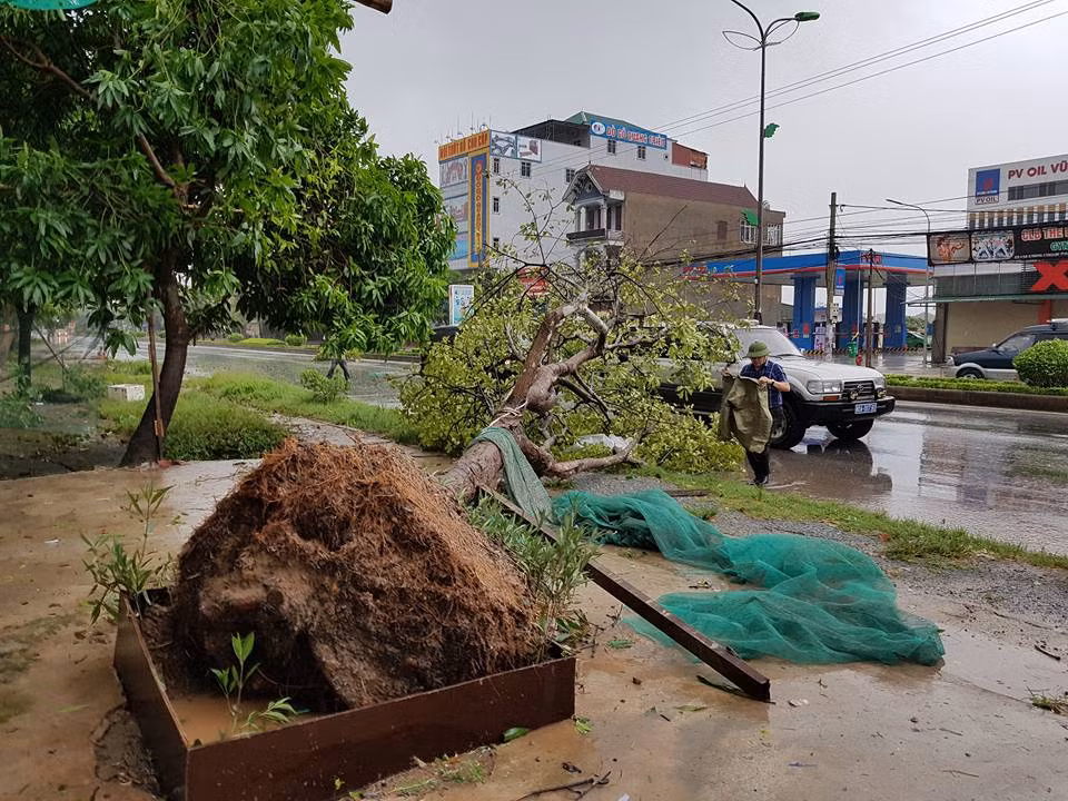 Bao so 10: 12 nguoi thuong vong, hon 20 nghin nha bi sap, toc mai, hu hong
