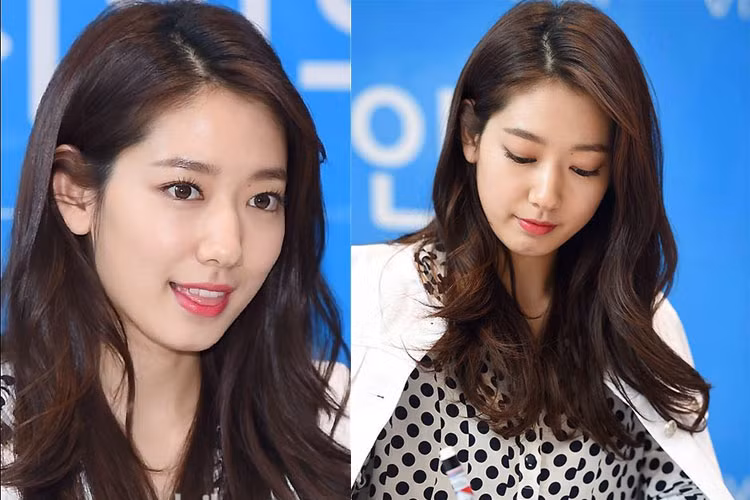 Với nhiều vai diễn được đánh giá cao, Park Shin Hye được người hâm mộ kỳ vọng sẽ tiếp tục gặt hái nhiều thành công.
