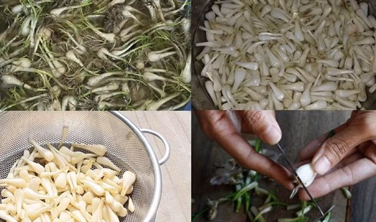 Mẹo làm củ kiệu chua ngọt, giòn ngon ngày Tết Meo lam cu kieu chua ngot, gion ngon ngay Tet