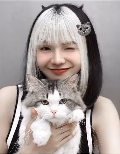 Thậm chí, nhiều người còn nặng nề chê bai rằng cô không xứng được gọi bằng danh xưng "Lisa Việt Nam". Ảnh: Tổng hợp