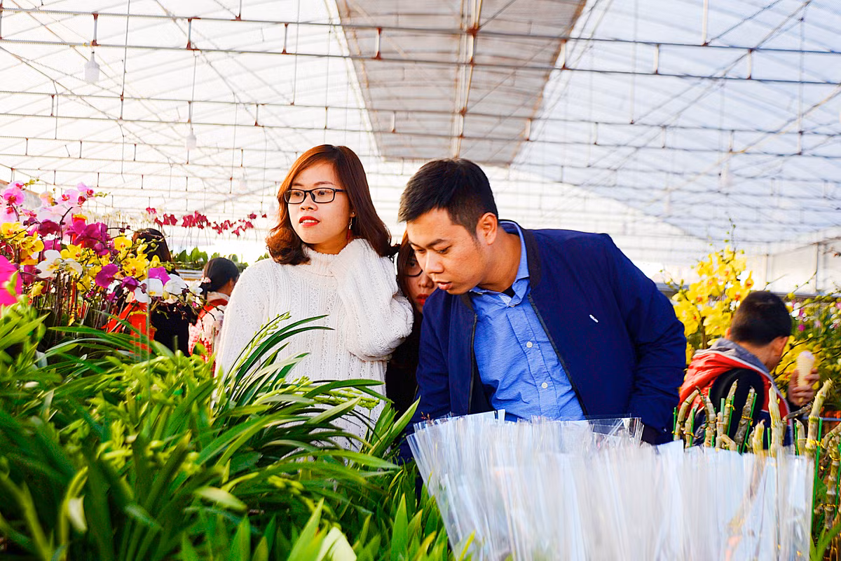 ... khiến nhiều khách khó lòng chọn lựa.