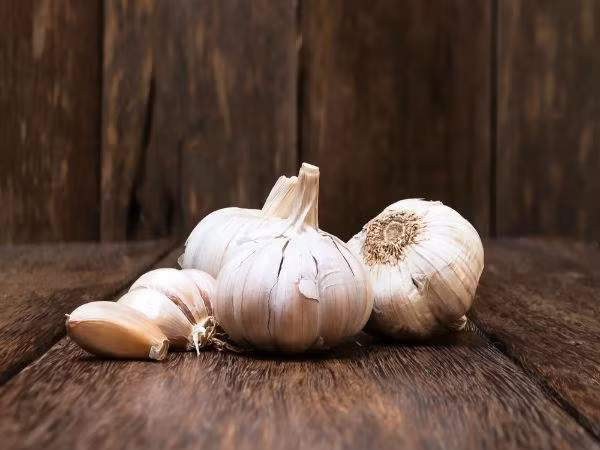 Tỏi: Tỏi được chứng minh là loại gia vị giúp làm chậm sự phát triển của khối u và ngăn ngừa ung thư vú rất hiệu quả. Bởi thành phần của tỏi chứa allium, một hợp chất chống ung thư.