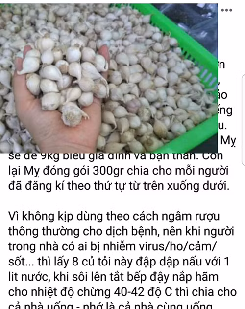 Thuc hu toi Ly Son, bo ket, den xong tinh dau... co the tieu diet virus corona