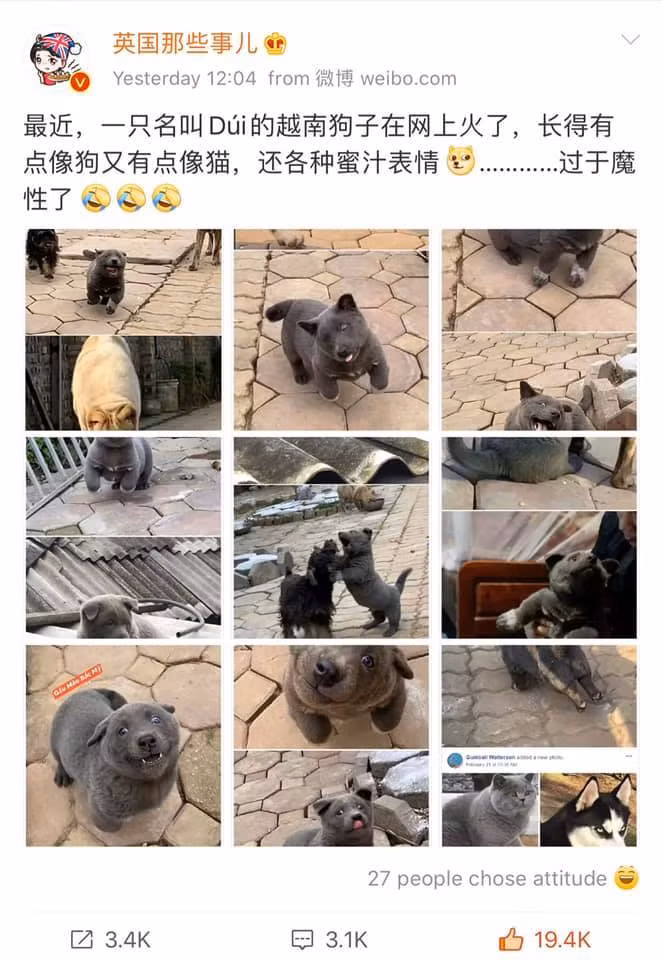 Cuoc song 