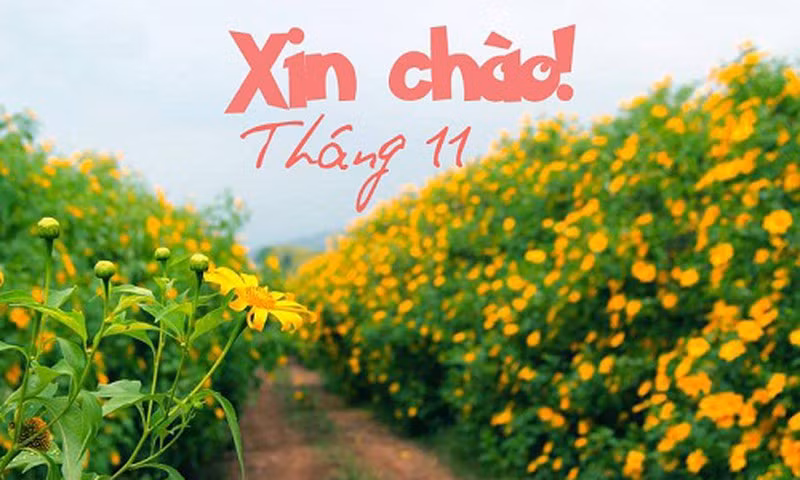 Tháng sinh tiết lộ gì về tính cách và con người bạn? - Hình 11 Thang sinh tiet lo gi ve tinh cach va con nguoi ban?-Hinh-11