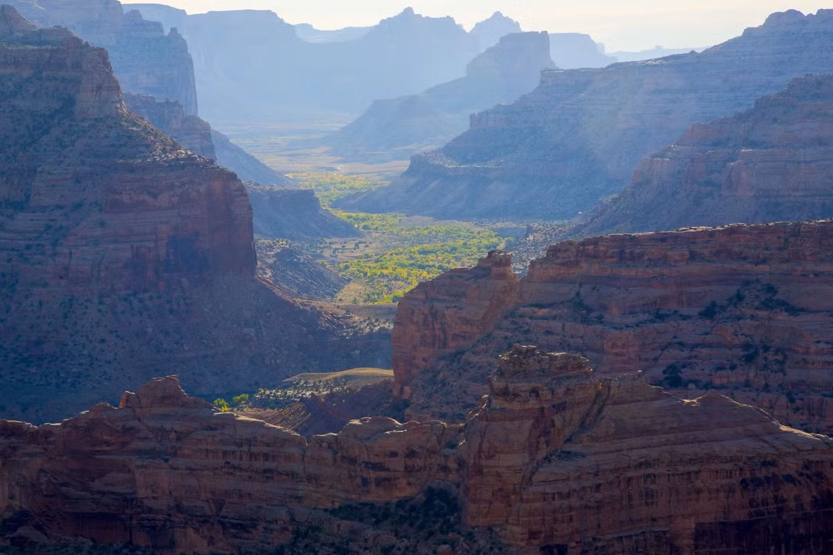 Bức ảnh chụp tại Little Grand Canyon, Utah.