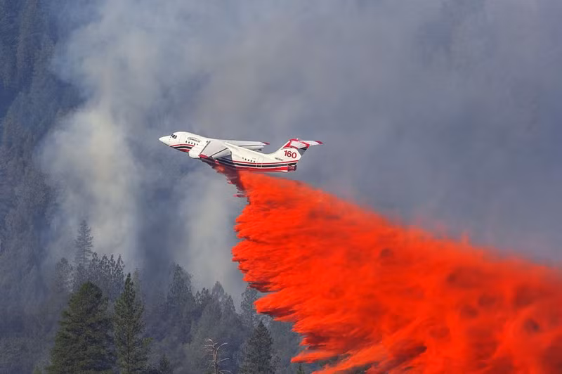 Tự nhiên và công nghệ - Ảnh: Getty Images